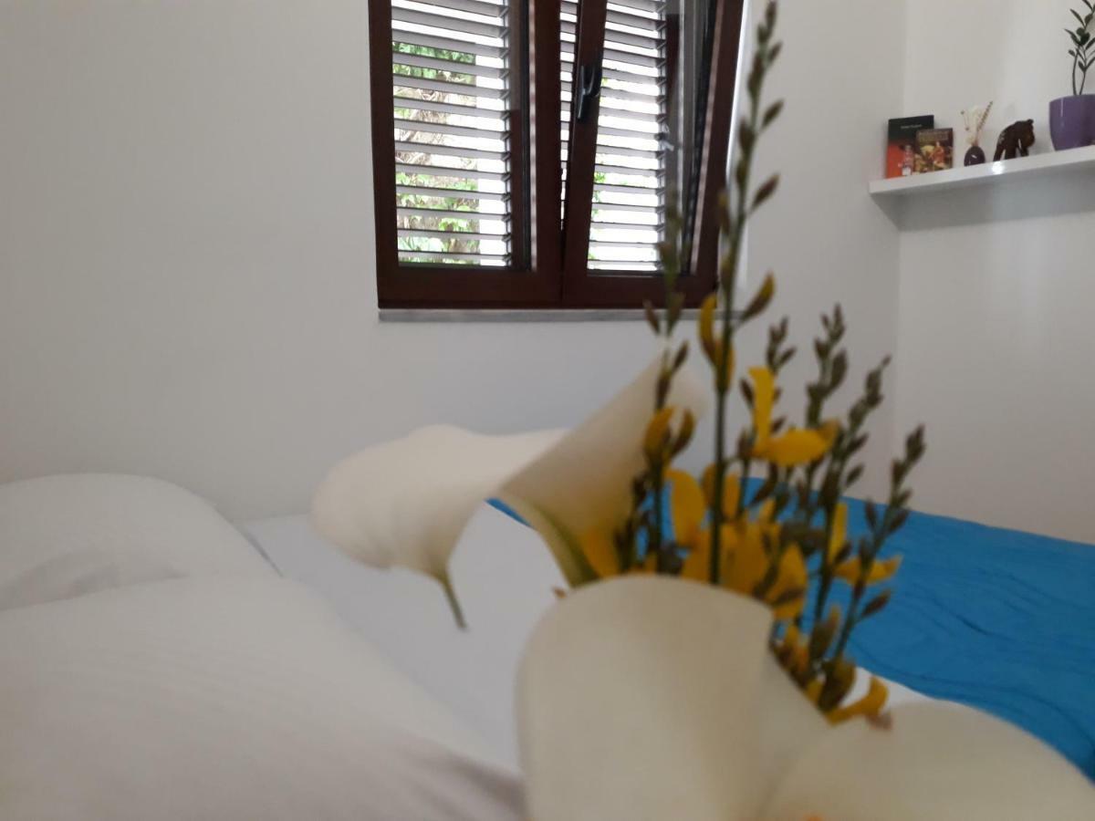Apartments Ardura Petrovac Extérieur photo